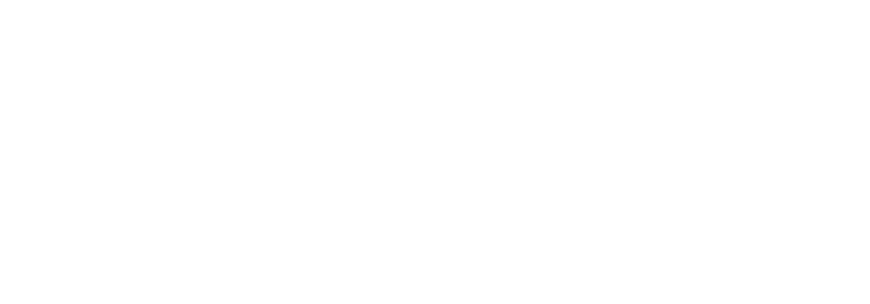 Bassi Trasporti