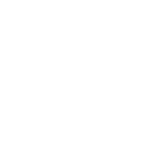 Essedi Sport