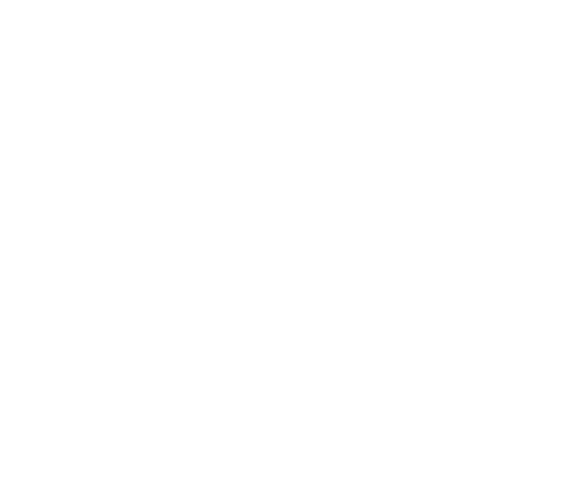 Gianni Pellegrini Rappresentanze