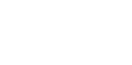 STP — Società Trasporti Provinciale Bari